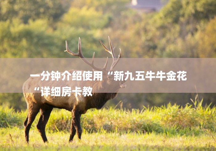 一分钟介绍使用“新九五牛牛金花
“详细房卡教