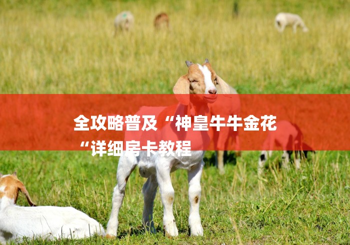 全攻略普及“神皇牛牛金花
“详细房卡教程