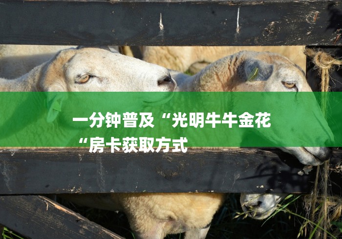 一分钟普及“光明牛牛金花
“房卡获取方式 