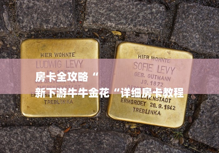 房卡全攻略“
新下游牛牛金花“详细房卡教程