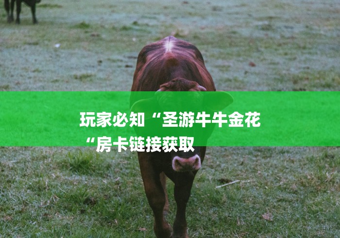 玩家必知“圣游牛牛金花
“房卡链接获取