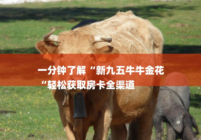 一分钟了解“新九五牛牛金花
“轻松获取房卡全渠道 一分钟了解“新九五牛牛金花
“轻松获取房卡全渠道