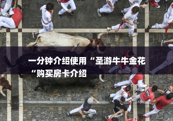 一分钟介绍使用“圣游牛牛金花
“购买房卡介绍 一分钟介绍使用“圣游牛牛金花
“购买房卡介绍