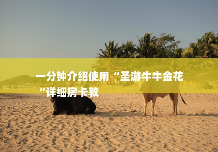 一分钟介绍使用“圣游牛牛金花
“详细房卡教 一分钟介绍使用“圣游牛牛金花
“详细房卡教