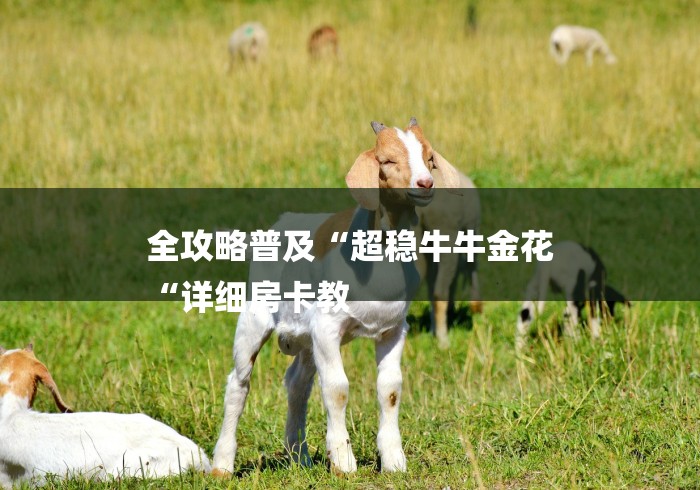 全攻略普及“超稳牛牛金花
“详细房卡教 全攻略普及“超稳牛牛金花
“详细房卡教