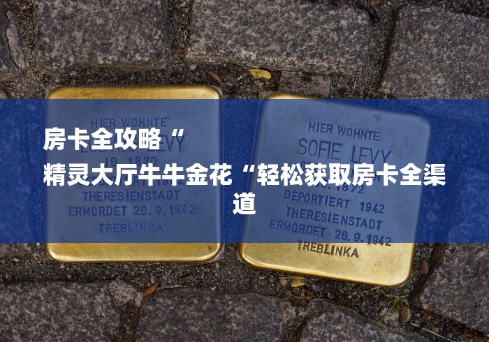 房卡全攻略“
精灵大厅牛牛金花“轻松获取房卡全渠道