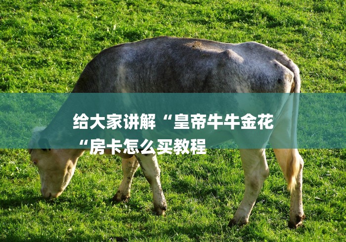 给大家讲解“皇帝牛牛金花
“房卡怎么买教程