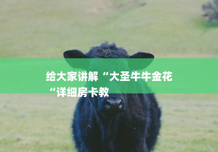给大家讲解“大圣牛牛金花
“详细房卡教 给大家讲解“大圣牛牛金花
“详细房卡教