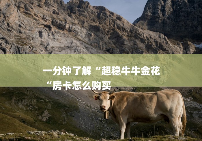 一分钟了解“超稳牛牛金花
“房卡怎么购买