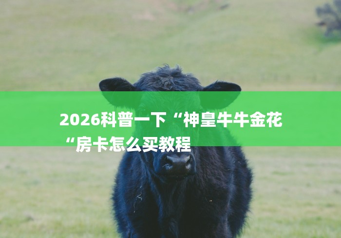2026科普一下“神皇牛牛金花
“房卡怎么买教程