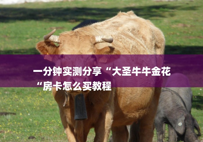 一分钟实测分享“大圣牛牛金花
“房卡怎么买教程 一分钟实测分享“大圣牛牛金花
“房卡怎么买教程