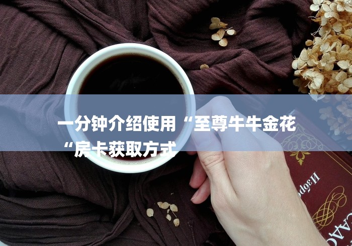 一分钟介绍使用“至尊牛牛金花
“房卡获取方式 一分钟介绍使用“至尊牛牛金花
“房卡获取方式