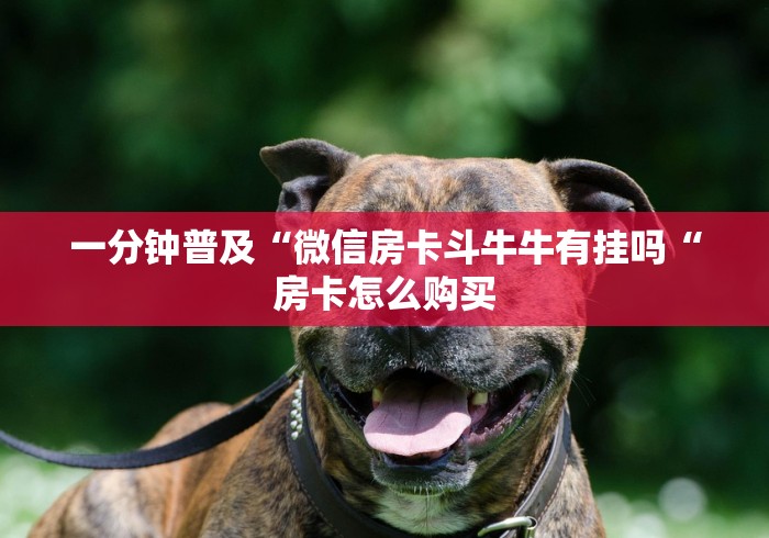 一分钟普及“微信房卡斗牛牛有挂吗“房卡怎么购买