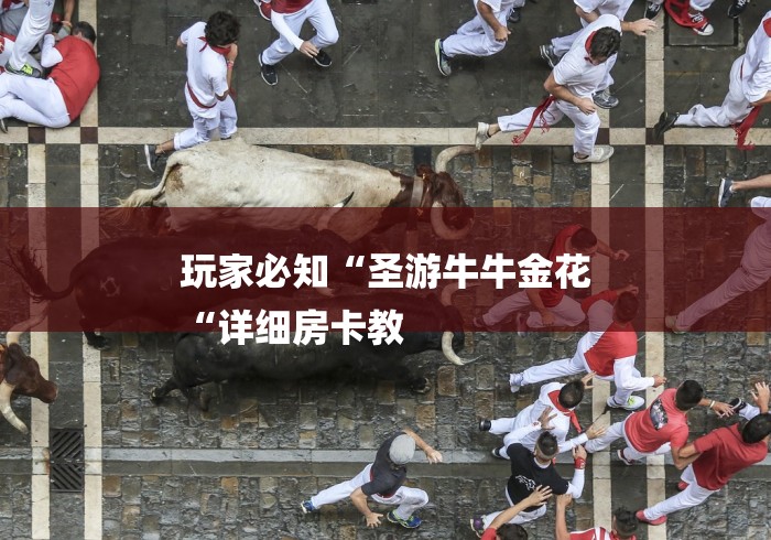 玩家必知“圣游牛牛金花
“详细房卡教