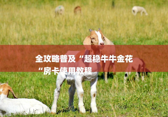 全攻略普及“超稳牛牛金花
“房卡使用教程