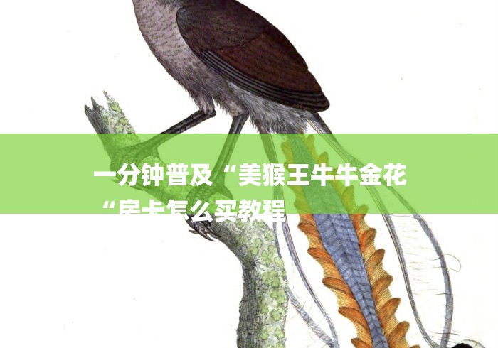 一分钟普及“美猴王牛牛金花
“房卡怎么买教程 一分钟普及“美猴王牛牛金花
“房卡怎么买教程