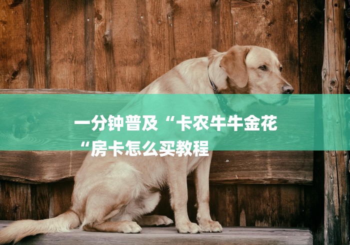 一分钟普及“卡农牛牛金花
“房卡怎么买教程