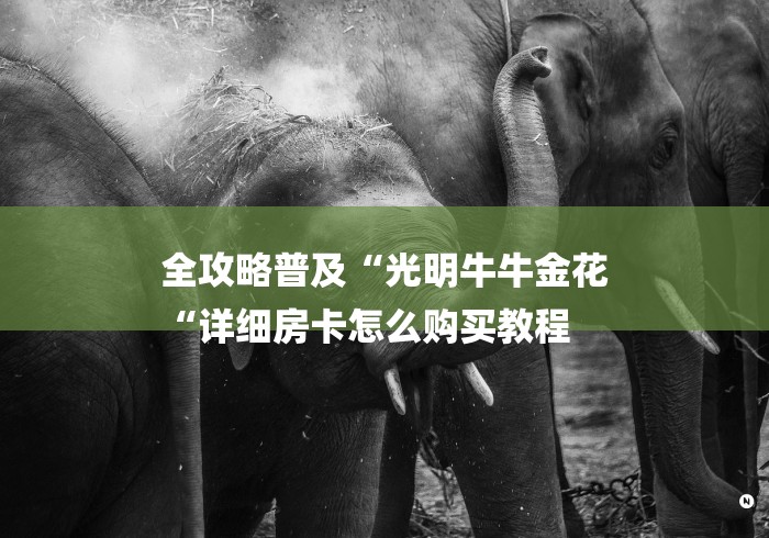 全攻略普及“光明牛牛金花
“详细房卡怎么购买教程