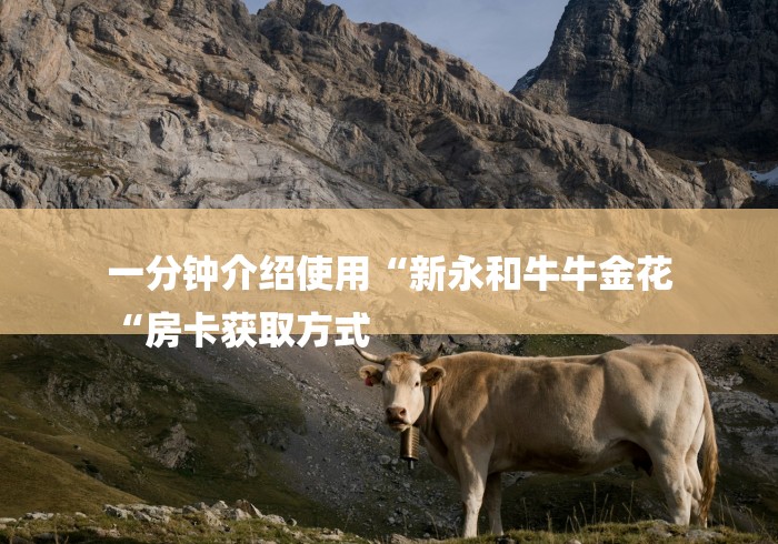 一分钟介绍使用“新永和牛牛金花
“房卡获取方式 一分钟介绍使用“新永和牛牛金花
“房卡获取方式