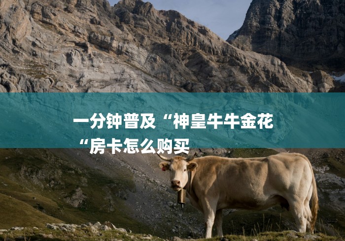 一分钟普及“神皇牛牛金花
“房卡怎么购买