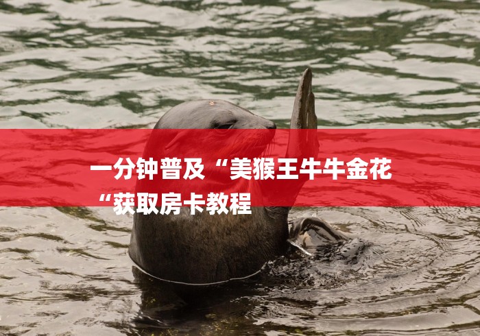 一分钟普及“美猴王牛牛金花
“获取房卡教程 一分钟普及“美猴王牛牛金花
“获取房卡教程