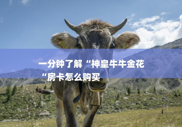 一分钟了解“神皇牛牛金花
“房卡怎么购买