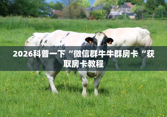 2026科普一下“微信群牛牛群房卡“获取房卡教程