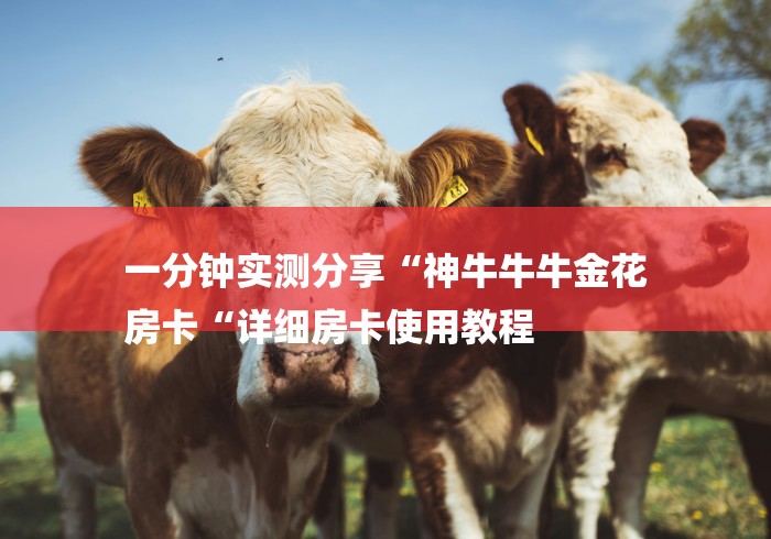 一分钟实测分享“神牛牛牛金花
房卡“详细房卡使用教程