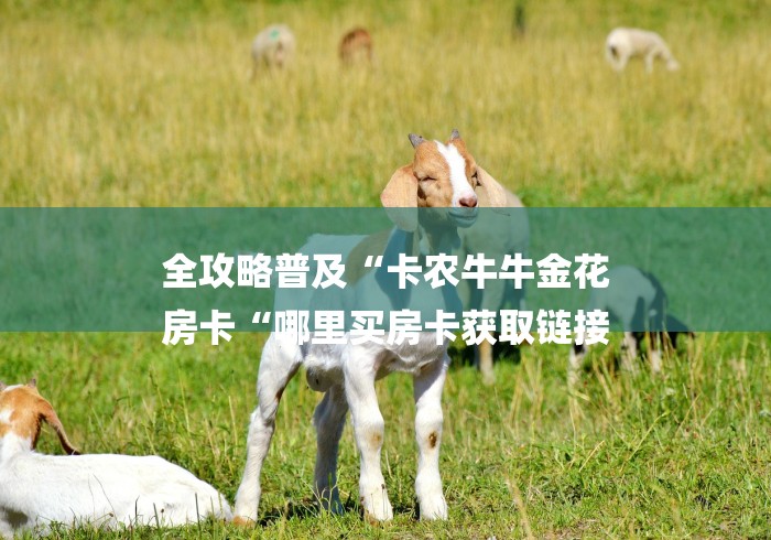 全攻略普及“卡农牛牛金花
房卡“哪里买房卡获取链接