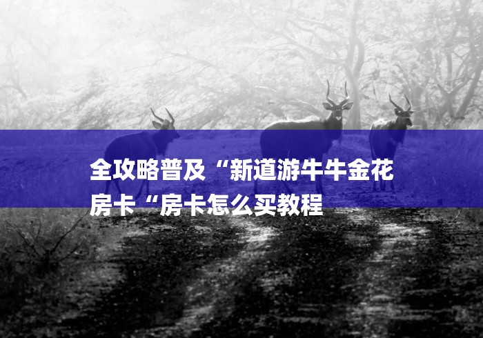 全攻略普及“新道游牛牛金花
房卡“房卡怎么买教程 全攻略普及“新道游牛牛金花
房卡“房卡怎么买教程