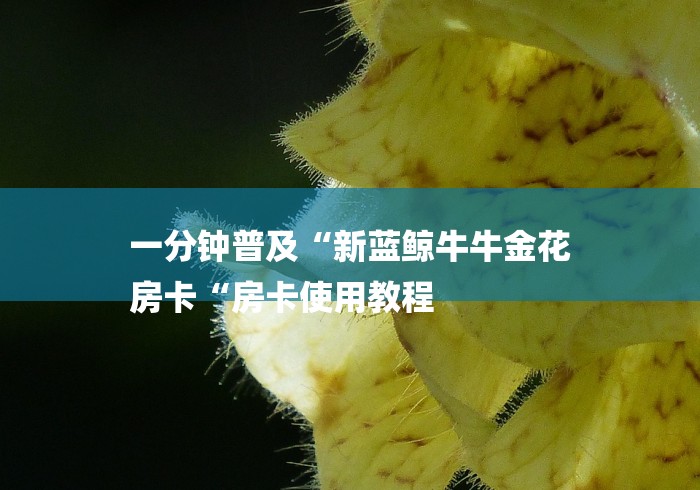 一分钟普及“新蓝鲸牛牛金花
房卡“房卡使用教程 一分钟普及“新蓝鲸牛牛金花
房卡“房卡使用教程