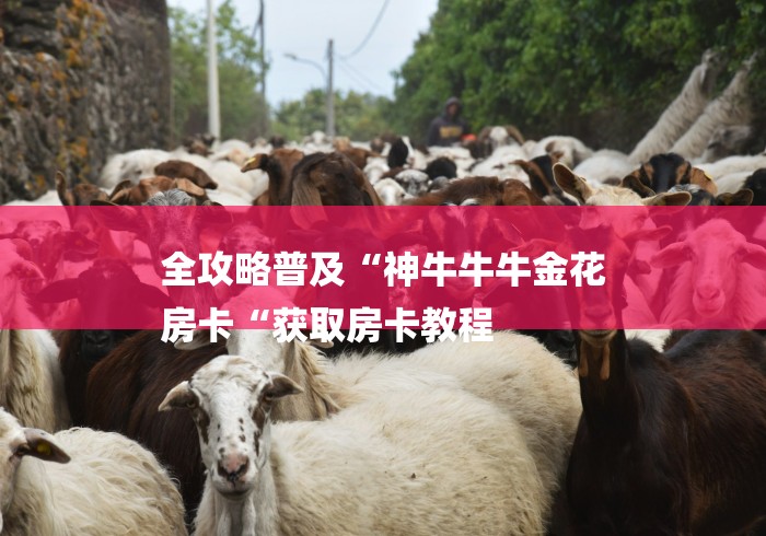 全攻略普及“神牛牛牛金花
房卡“获取房卡教程