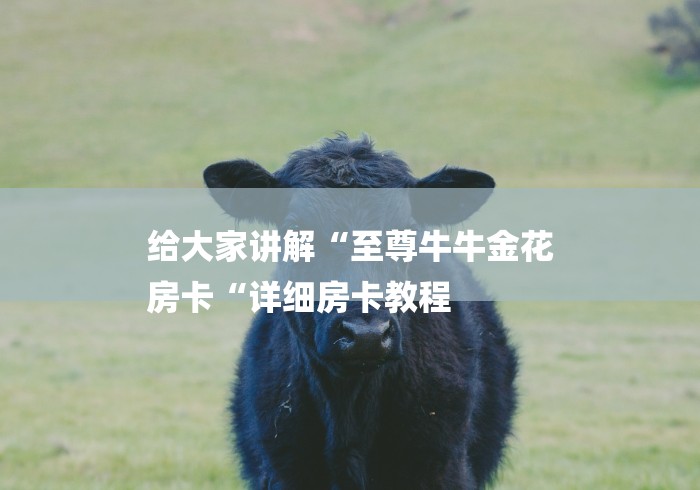 给大家讲解“至尊牛牛金花
房卡“详细房卡教程