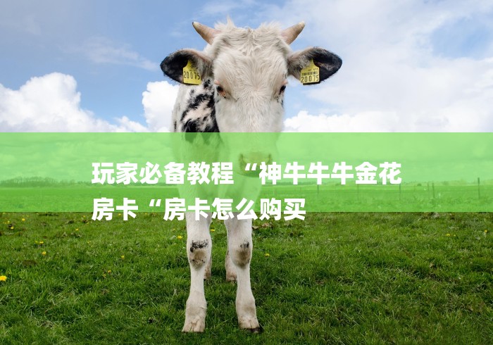 玩家必备教程“神牛牛牛金花
房卡“房卡怎么购买 玩家必备教程“神牛牛牛金花
房卡“房卡怎么购买