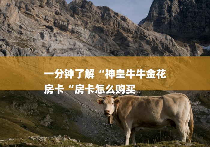 一分钟了解“神皇牛牛金花
房卡“房卡怎么购买 一分钟了解“神皇牛牛金花
房卡“房卡怎么购买