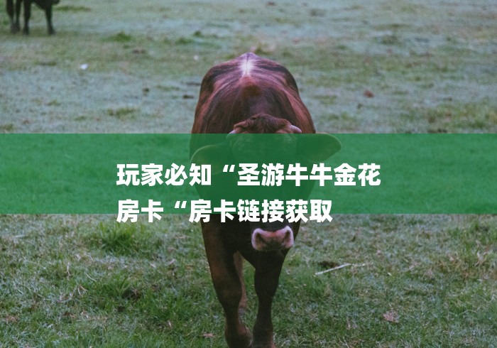 玩家必知“圣游牛牛金花
房卡“房卡链接获取 玩家必知“圣游牛牛金花
房卡“房卡链接获取