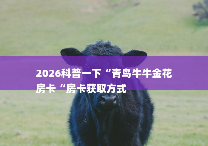 2026科普一下“青鸟牛牛金花
房卡“房卡获取方式 