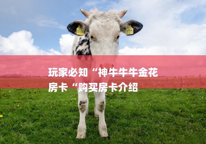 玩家必知“神牛牛牛金花
房卡“购买房卡介绍 玩家必知“神牛牛牛金花
房卡“购买房卡介绍