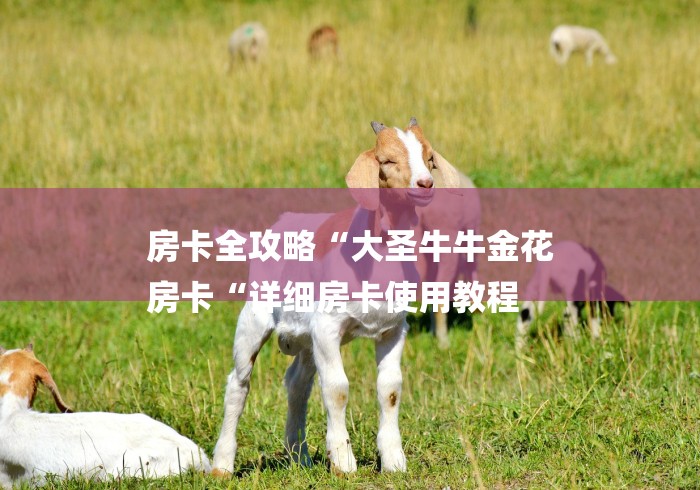 房卡全攻略“大圣牛牛金花
房卡“详细房卡使用教程