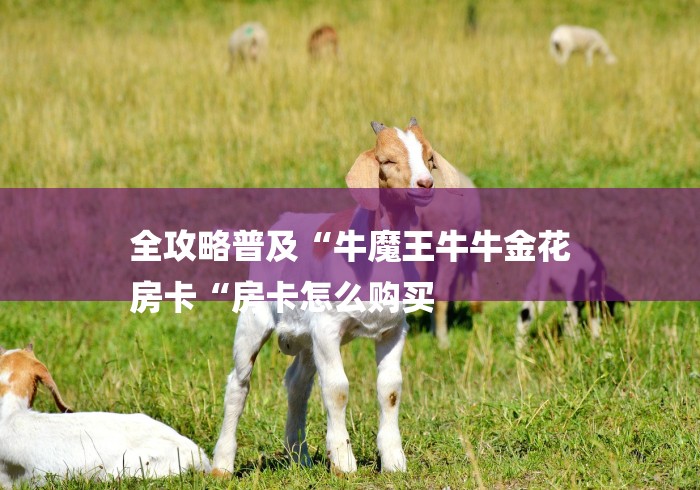 全攻略普及“牛魔王牛牛金花
房卡“房卡怎么购买 全攻略普及“牛魔王牛牛金花
房卡“房卡怎么购买