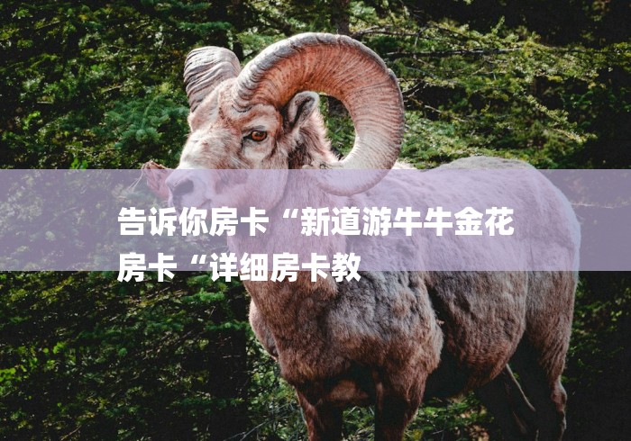 告诉你房卡“新道游牛牛金花
房卡“详细房卡教 告诉你房卡“新道游牛牛金花
房卡“详细房卡教