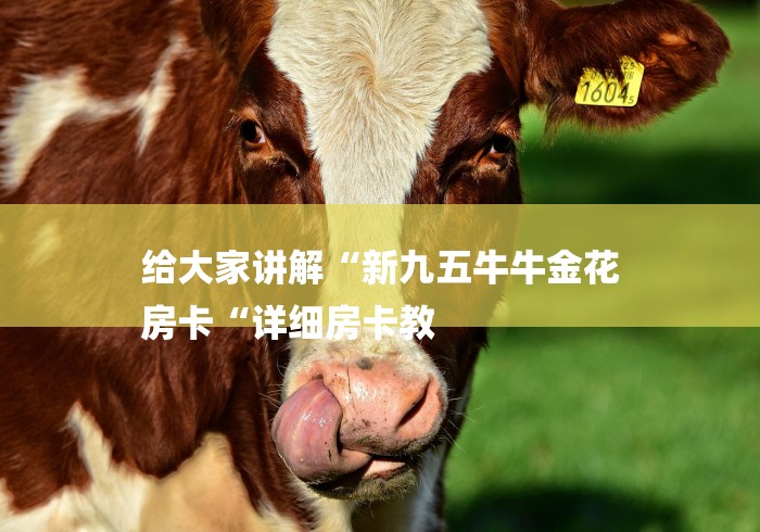 给大家讲解“新九五牛牛金花
房卡“详细房卡教