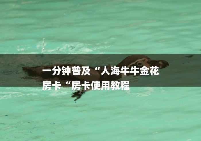 一分钟普及“人海牛牛金花
房卡“房卡使用教程