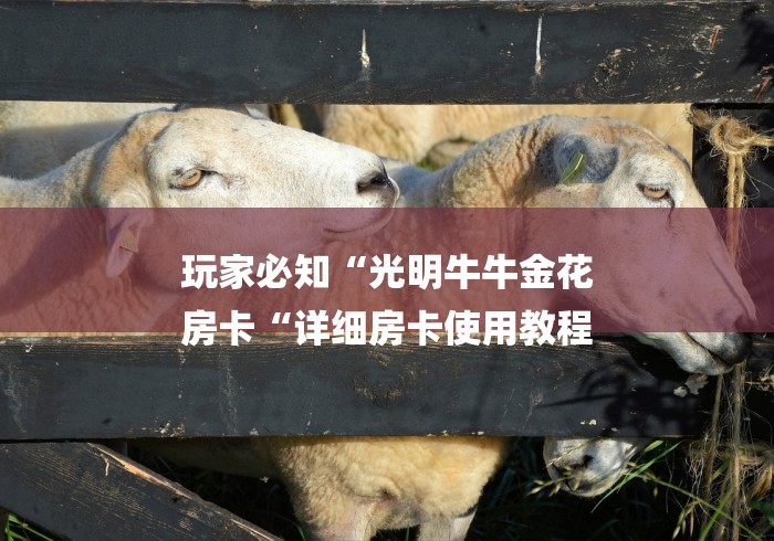 玩家必知“光明牛牛金花
房卡“详细房卡使用教程