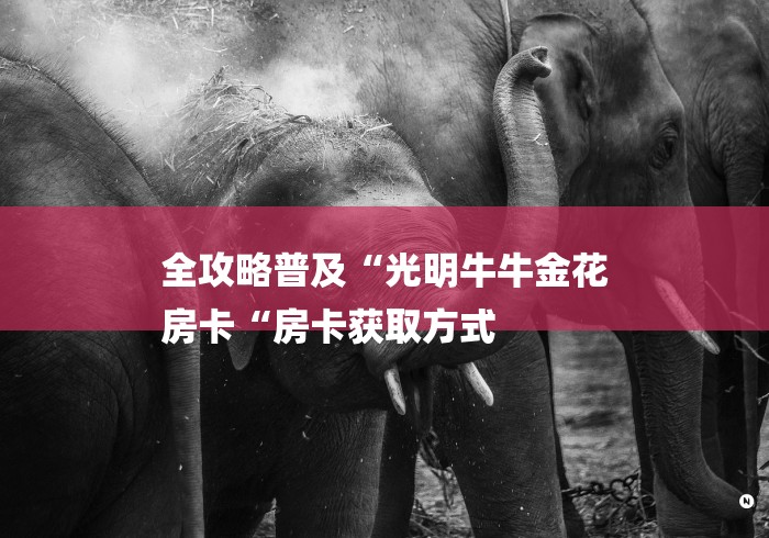 全攻略普及“光明牛牛金花
房卡“房卡获取方式 全攻略普及“光明牛牛金花
房卡“房卡获取方式
