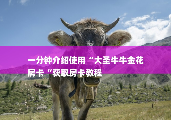 一分钟介绍使用“大圣牛牛金花
房卡“获取房卡教程