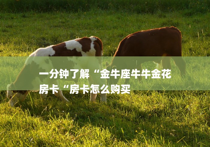 一分钟了解“金牛座牛牛金花
房卡“房卡怎么购买 一分钟了解“金牛座牛牛金花
房卡“房卡怎么购买