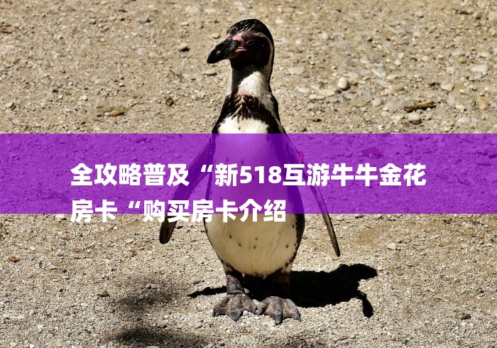 全攻略普及“新518互游牛牛金花
房卡“购买房卡介绍