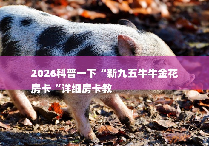 2026科普一下“新九五牛牛金花
房卡“详细房卡教