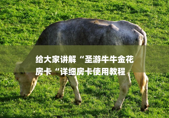 给大家讲解“圣游牛牛金花
房卡“详细房卡使用教程